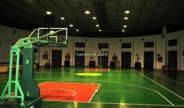 最新爆料篮球场图片大全,最新爆料图片大全赏析